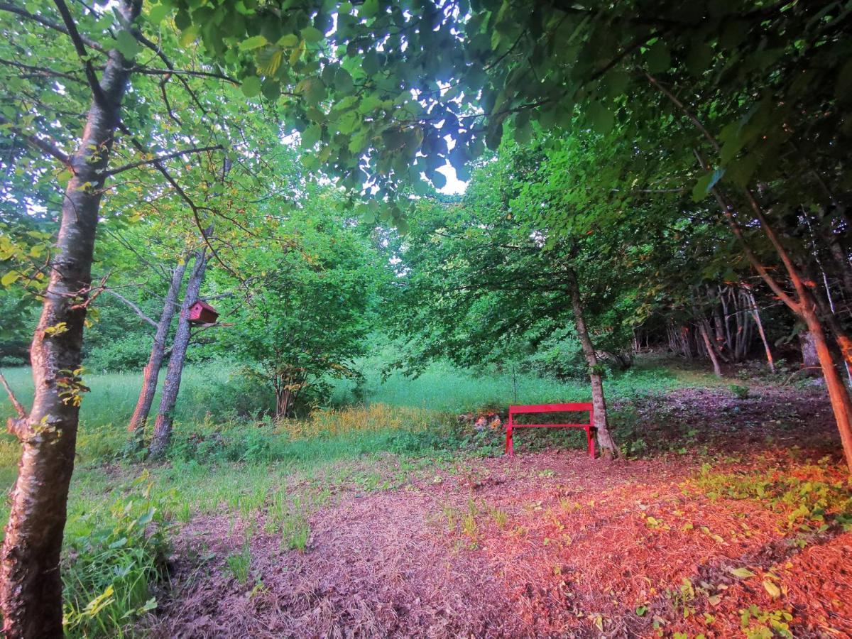 Holiday Home La Sierra Кореница Екстериор снимка